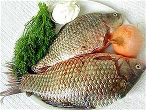 Cá chép bổ âm, chữa bệnh phụ nữ